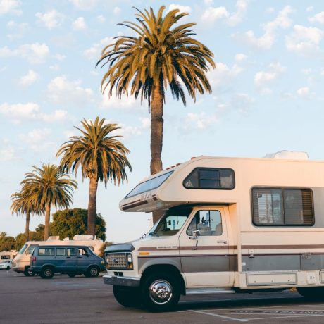 An RV parked in a parking lot surrounded by palm trees in Sunset RV & Mobile Home Park Hondo, TX